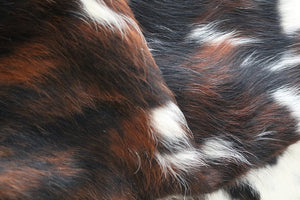 98240  Cowhide rug Collection Cowhides in Canada TRICOLOR