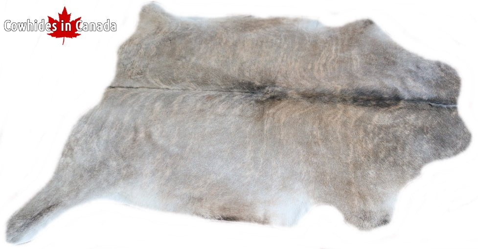 98242  Cowhide rug Collection Cowhides in Canada