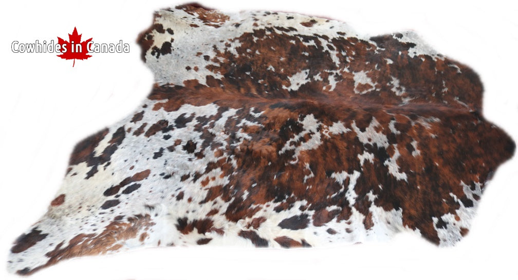 Big Real XXXL Cowhide Rug Tricolor. Premium Collection. Code 98244