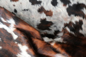 Big Real XXXL Cowhide Rug Tricolor. Premium Collection. Code 98244