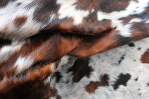 Big Real XXXL Cowhide Rug Tricolor. Premium Collection. Code 98244