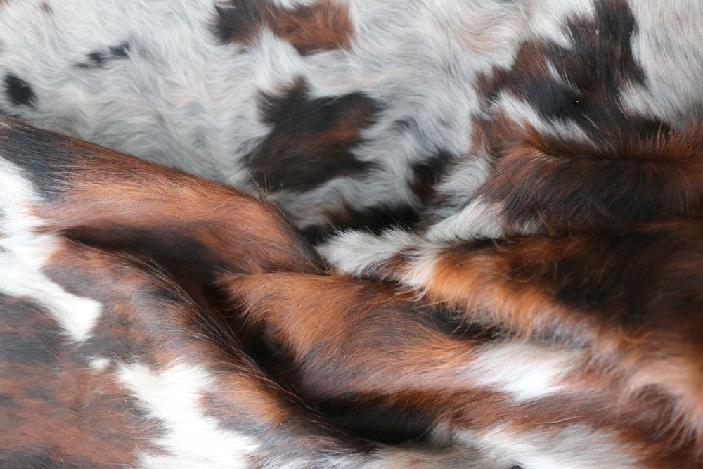 Big Real XXXL Cowhide Rug Tricolor. Premium Collection. Code 98244