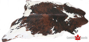 Big Real XXXL Cowhide Rug Tricolor. Premium Collection. Code 98245