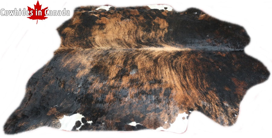 98252 Cowhide rug Collection Cowhides in Canada XXXL