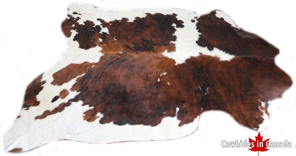 Big Real XXXL Cowhide Rug Tricolor. Premium Collection. Code 98253