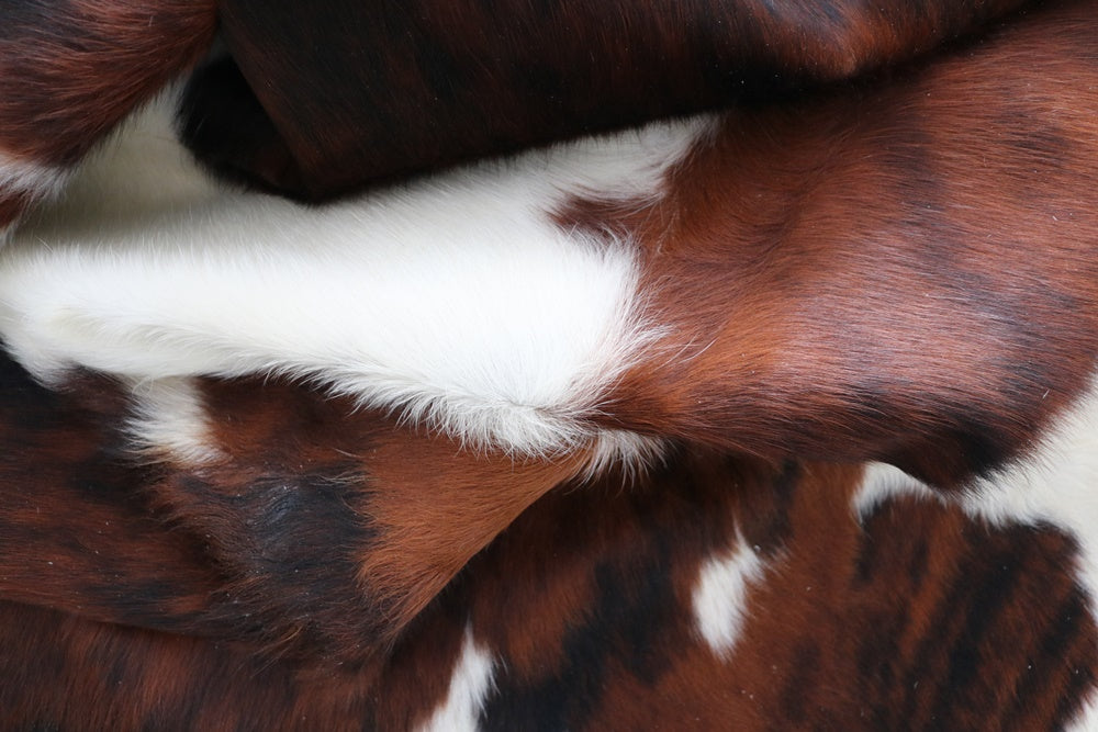 Big Real XXXL Cowhide Rug Tricolor. Premium Collection. Code 98253