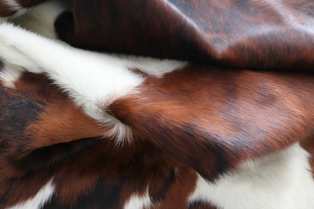 Big Real XXXL Cowhide Rug Tricolor. Premium Collection. Code 98253