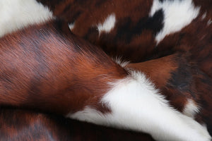 Big Real XXXL Cowhide Rug Tricolor. Premium Collection. Code 98253