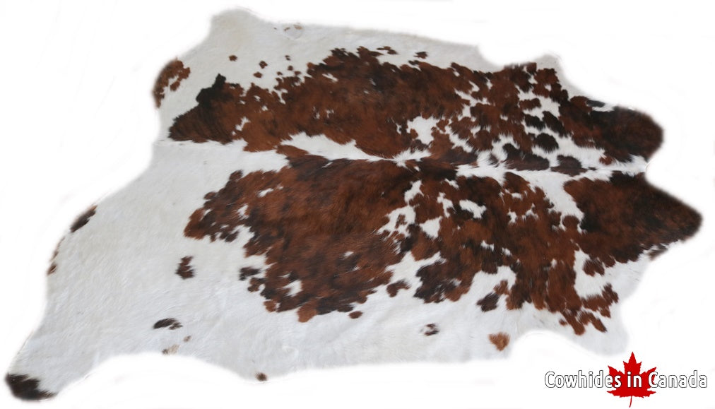 98255  Cowhide rug Collection Cowhides in Canada TRICOLOR