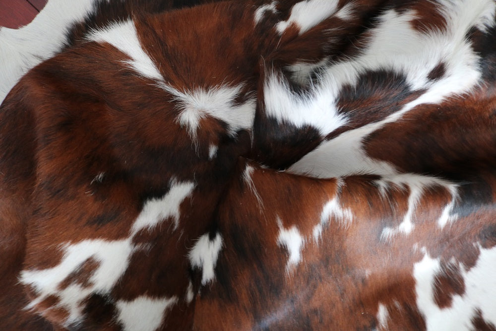 98255  Cowhide rug Collection Cowhides in Canada TRICOLOR