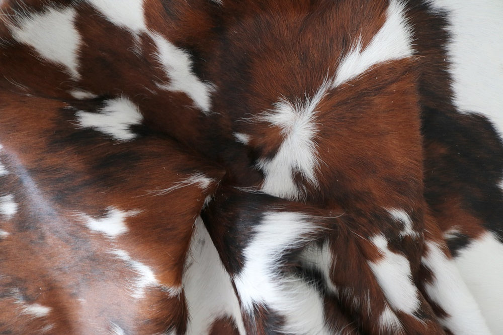 98255  Cowhide rug Collection Cowhides in Canada TRICOLOR