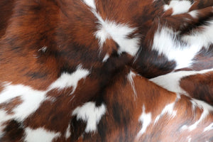 98255  Cowhide rug Collection Cowhides in Canada TRICOLOR