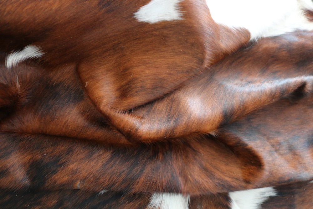 98258  Cowhide rug Collection Cowhides in Canada TRICOLOR