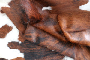 98258  Cowhide rug Collection Cowhides in Canada TRICOLOR