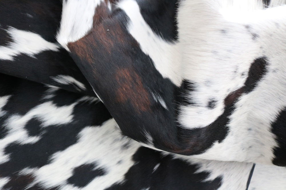 Big Real XXXL Cowhide Rug Tricolor. Premium Collection. Code 98259