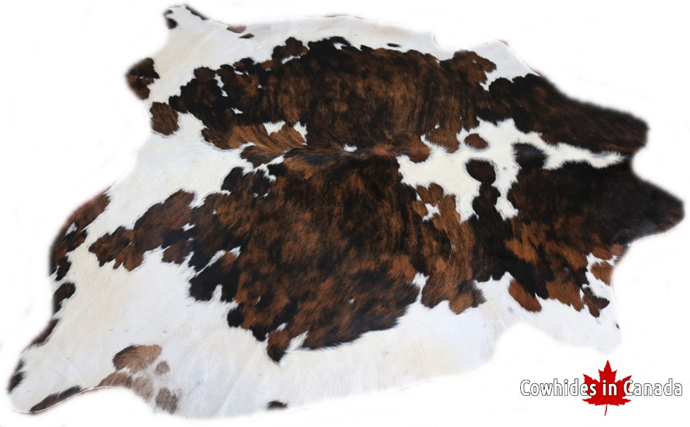 Big Real XXL Cowhide Rug Tricolor. Premium Collection. Code 98262