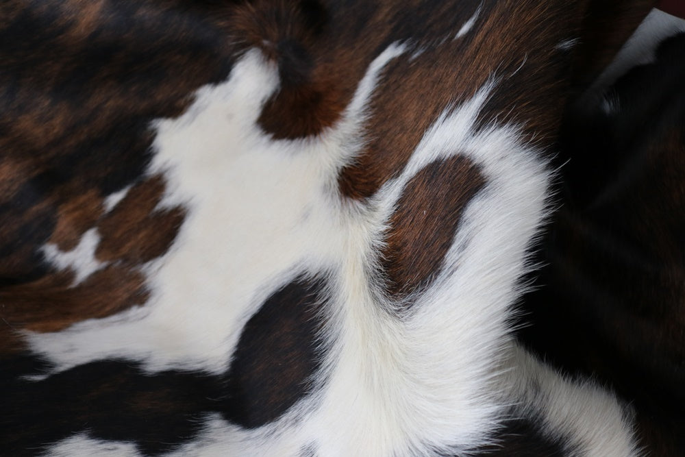 Big Real XXL Cowhide Rug Tricolor. Premium Collection. Code 98262