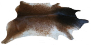 A 95152 Cowhide rug Collection Cowhides in Canada XXXL SUPER BIG SIZE