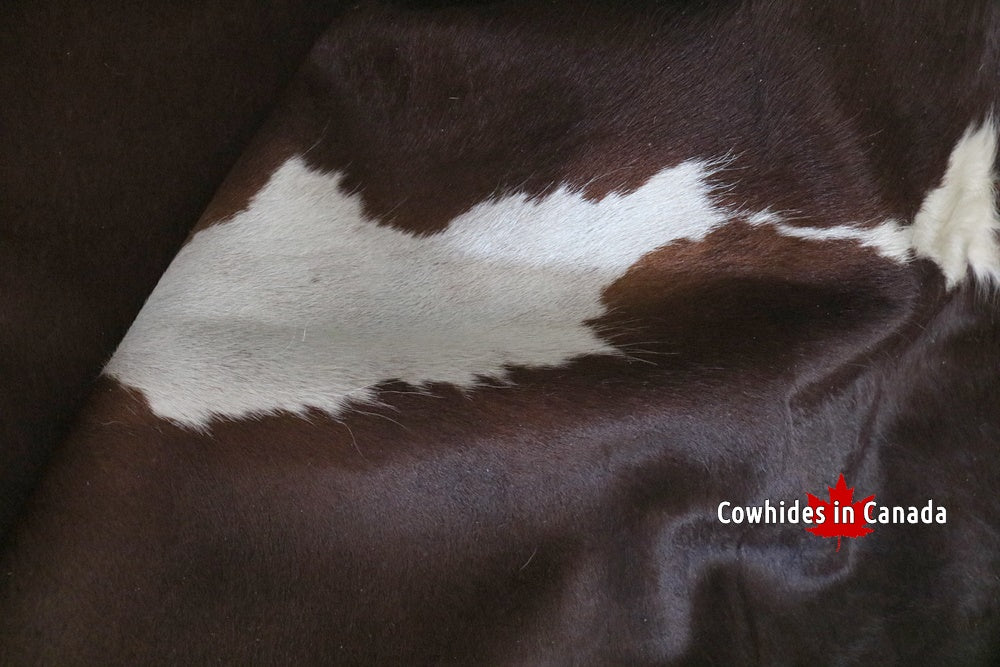 A 95153  Cowhide rug Collection Cowhides in Canada XXXL SUPER BIG SIZE