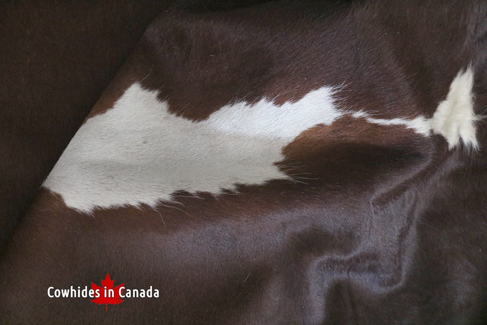 A 95153  Cowhide rug Collection Cowhides in Canada XXXL SUPER BIG SIZE