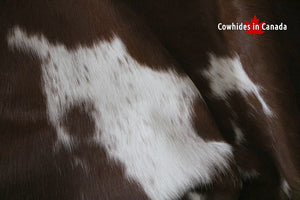 A 95154  Cowhide rug Collection Cowhides in Canada XXXL SUPER BIG SIZE