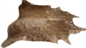 A 95162  Cowhide rug Collection Cowhides in Canada XXXL SUPER BIG SIZE