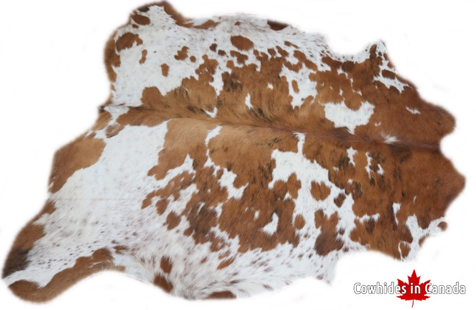 98267  Cowhide rug Collection Cowhides in Canada TRICOLOR