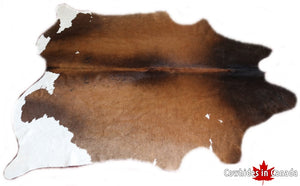 98271  Cowhide rug Collection Cowhides in Canada Rustic TRICOLOR