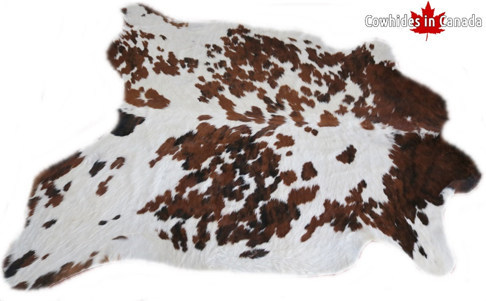 98272  Cowhide rug Collection Cowhides in Canada TRICOLOR