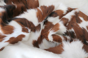 98272  Cowhide rug Collection Cowhides in Canada TRICOLOR