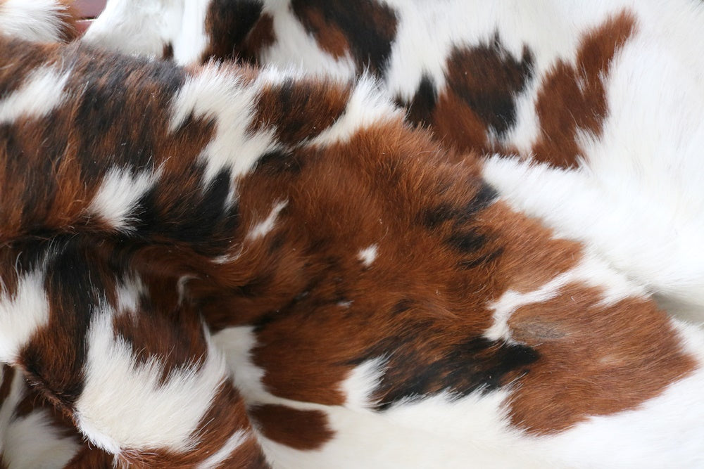 98272  Cowhide rug Collection Cowhides in Canada TRICOLOR