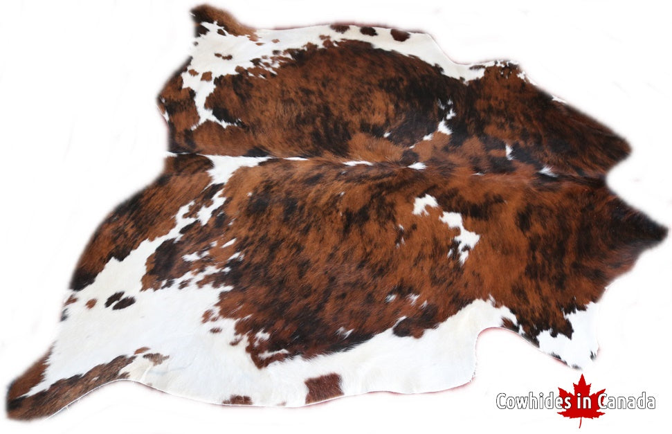 98273  Cowhide rug Collection Cowhides in Canada TRICOLOR