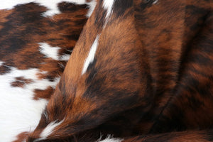 98273  Cowhide rug Collection Cowhides in Canada TRICOLOR