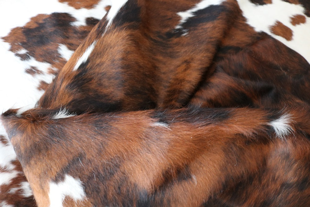 98273  Cowhide rug Collection Cowhides in Canada TRICOLOR