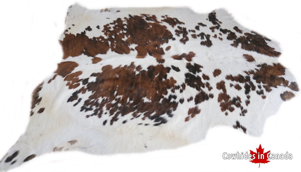 Big Real XXL Cowhide Rug Tricolor. Premium Collection. Code 98276