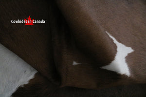 A 95183 Cowhide rug Collection Cowhides in Canada