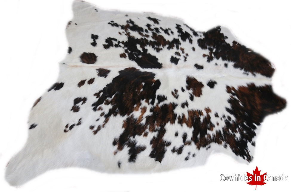 98277  Cowhide rug Collection Cowhides in Canada TRICOLOR