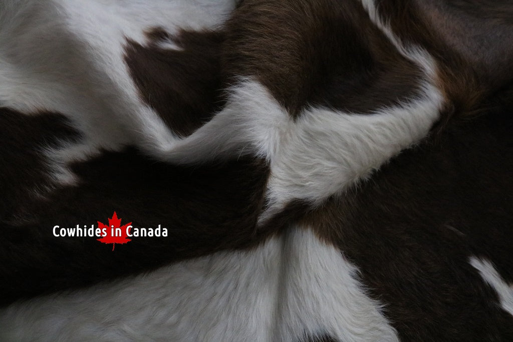 A 95184 Cowhide rug Collection Cowhides in Canada