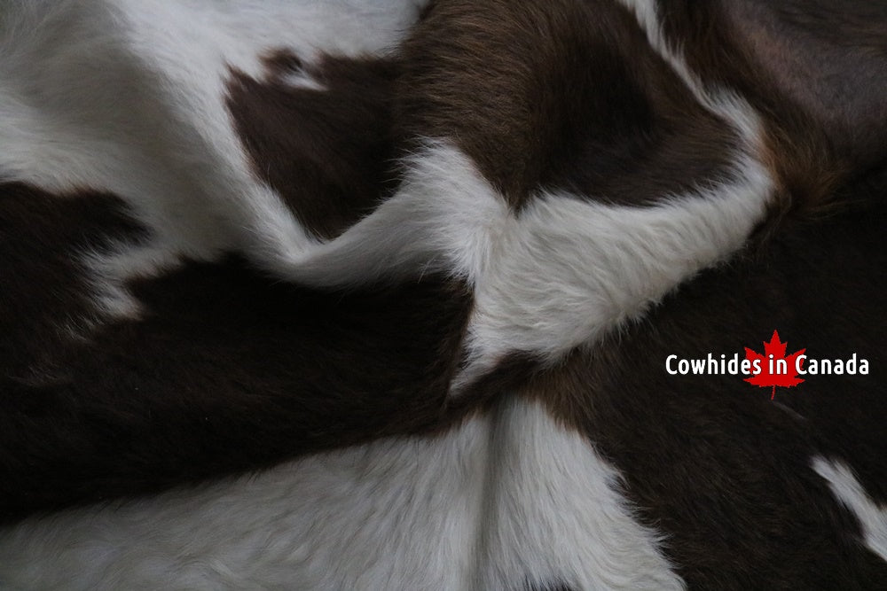 A 95184 Cowhide rug Collection Cowhides in Canada