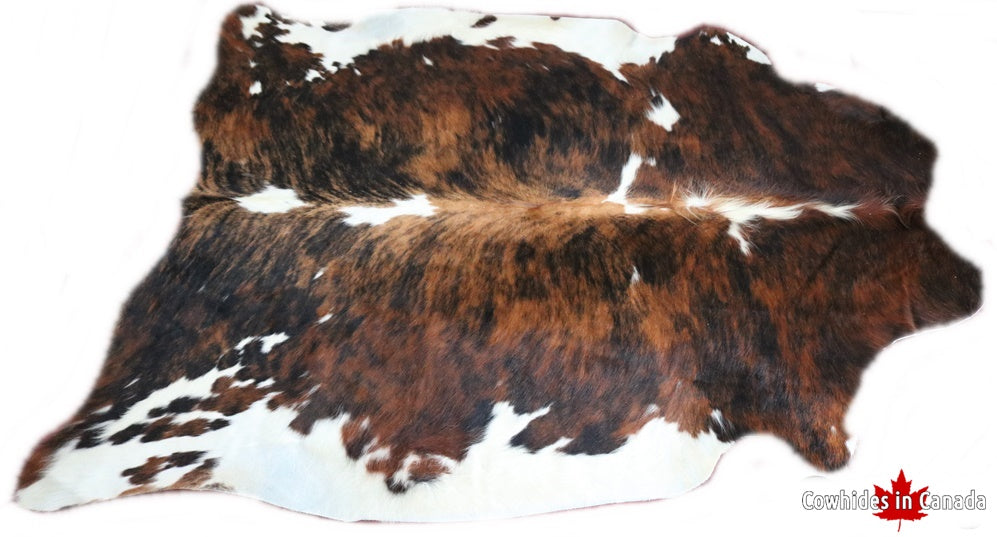 98279  Cowhide rug Collection Cowhides in Canada TRICOLOR