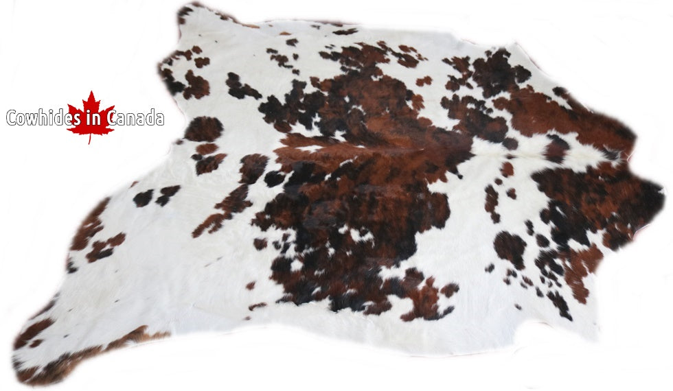 Big Real XXL Cowhide Rug Tricolor. Premium Collection. Code 98280