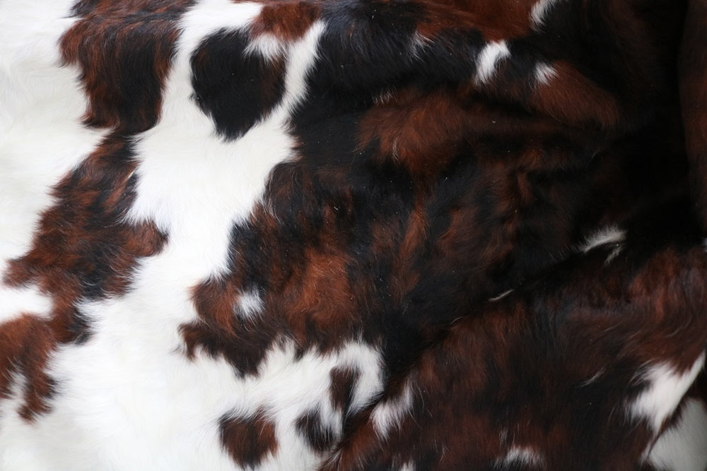 Big Real XXL Cowhide Rug Tricolor. Premium Collection. Code 98280