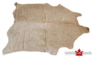 A 95186  Cowhide rug Collection Cowhides in Canada