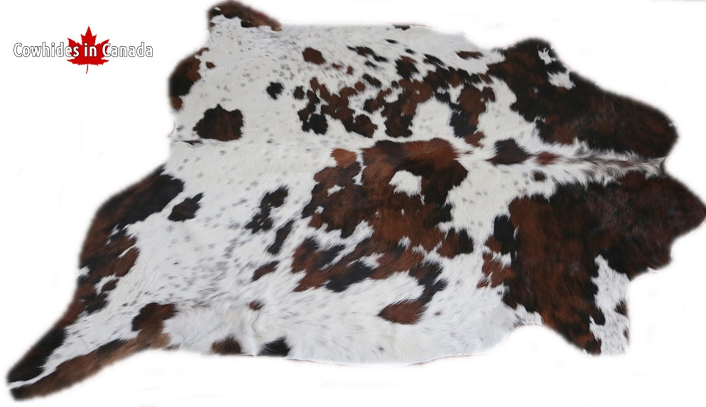 Big Real XXXL Cowhide Rug Tricolor. Premium Collection. Code 98290