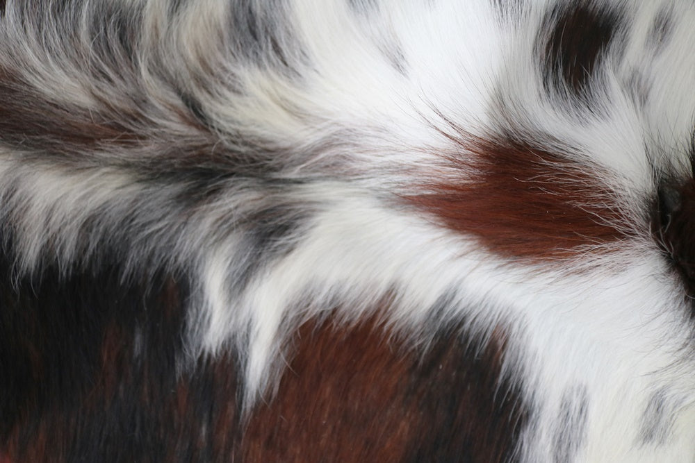 Big Real XXXL Cowhide Rug Tricolor. Premium Collection. Code 98290