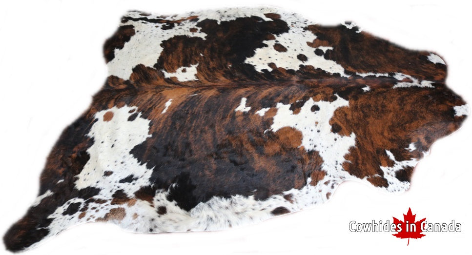 Big Real XXXL Cowhide Rug Tricolor. Premium Collection. Code 98291