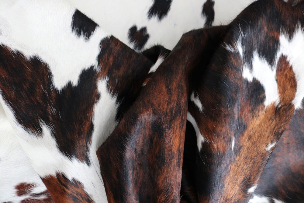 Big Real XXXL Cowhide Rug Tricolor. Premium Collection. Code 98292