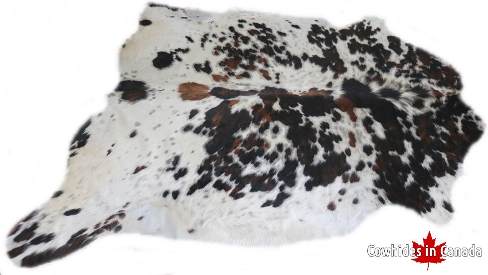 Big Real XXXL Cowhide Rug Tricolor. Premium Collection. Code 98293