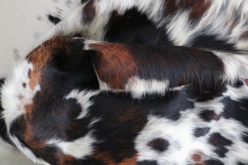 Big Real XXXL Cowhide Rug Tricolor. Premium Collection. Code 98293