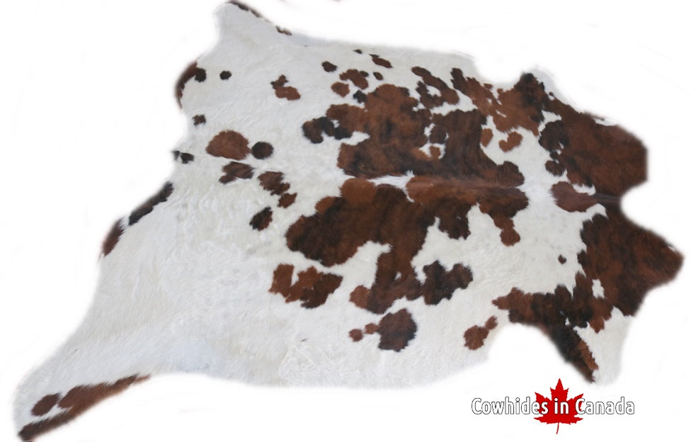 98294  Cowhide rug Collection Cowhides in Canada TRICOLOR